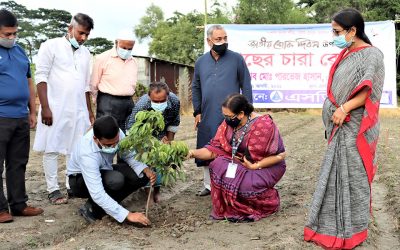 এসডিএস প্রশিক্ষন কেন্দ্রে বৃক্ষরোপণ