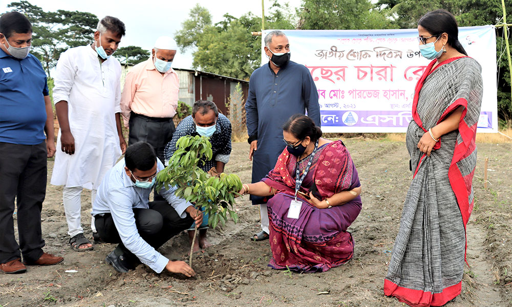 এসডিএস প্রশিক্ষন কেন্দ্রে বৃক্ষরোপণ